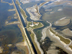 camargue