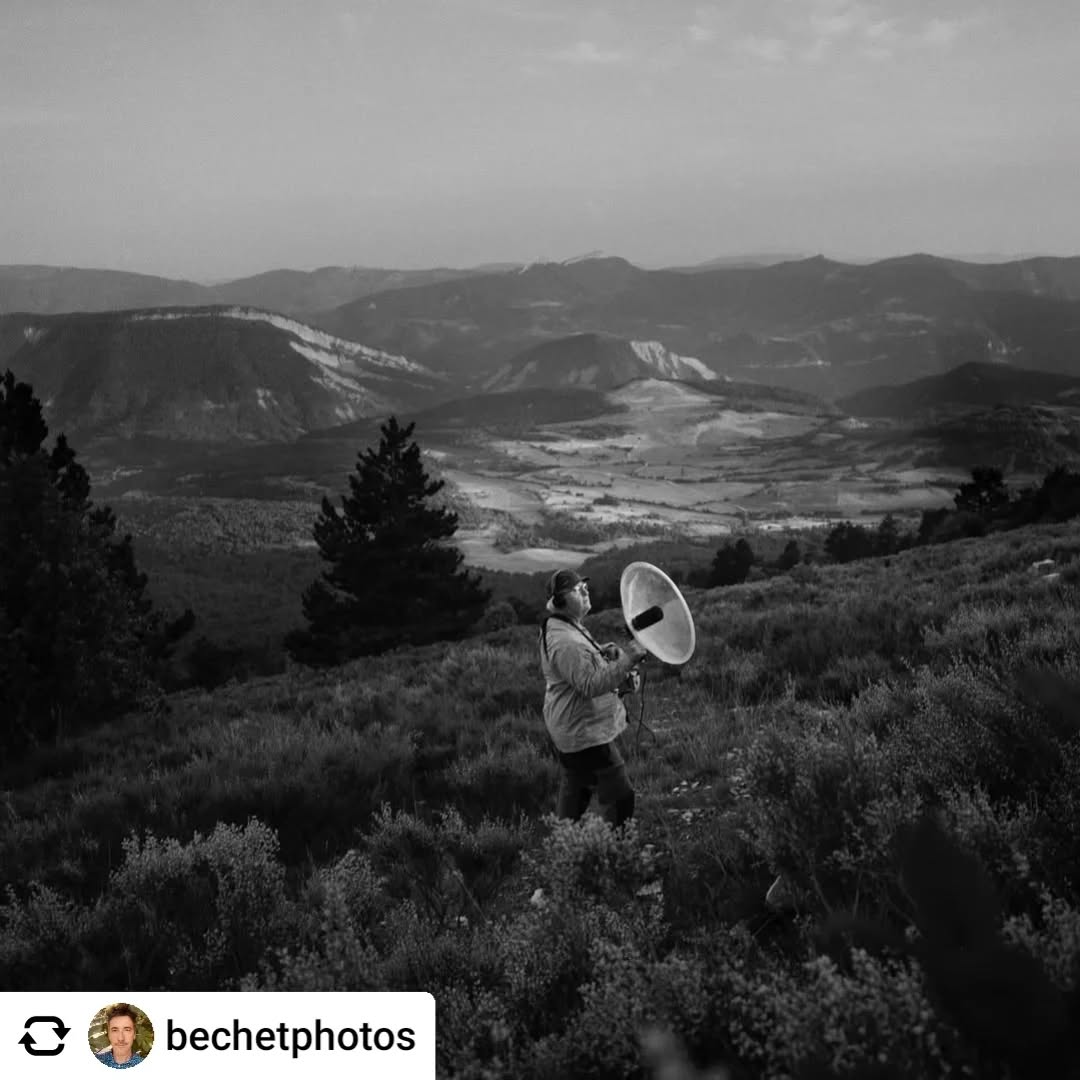 Posted @withregram • @bechetphotos Fernand Deroussen, audio-naturaliste, sur la montagne du Puy. Une image issue de « Bêtes, bois, lieux ». #vercors
#analogphotography
#filmisnotdead
#mamiya6
#senforester
#ilfordfp4,  #naturephotography #analogphotography 
#cnap