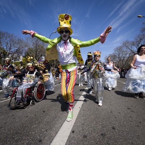 Pierre Thepenier - Carnaval 2015