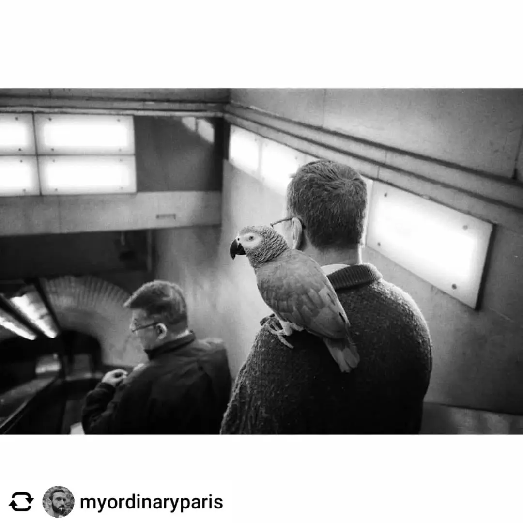 Posted @withregram • @myordinaryparis « Les amis sont des compagnons de voyage, qui nous aident à avancer sur le chemin d’une vie plus heureuse » Pythagore
.
.
.
#myordinaryparis #paris #subwaystories #street_storytelling #bnw_life